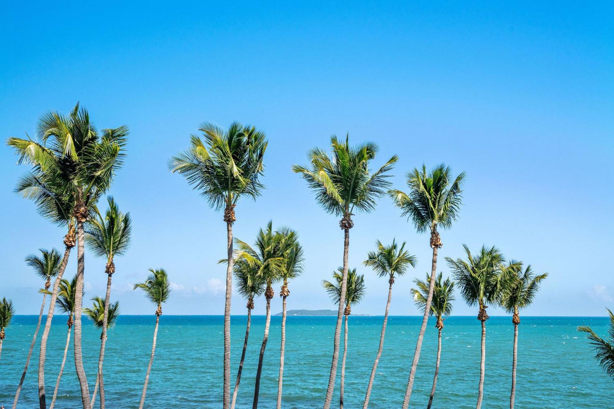 Your Ocean Zen Oasis Leilighet Fajardo Eksteriør bilde